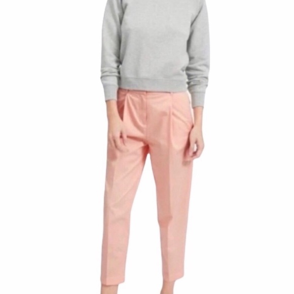 Everlane Pink Slouchy Chino Cotton Pleated Pant Size 10 - Picture 2 of 8